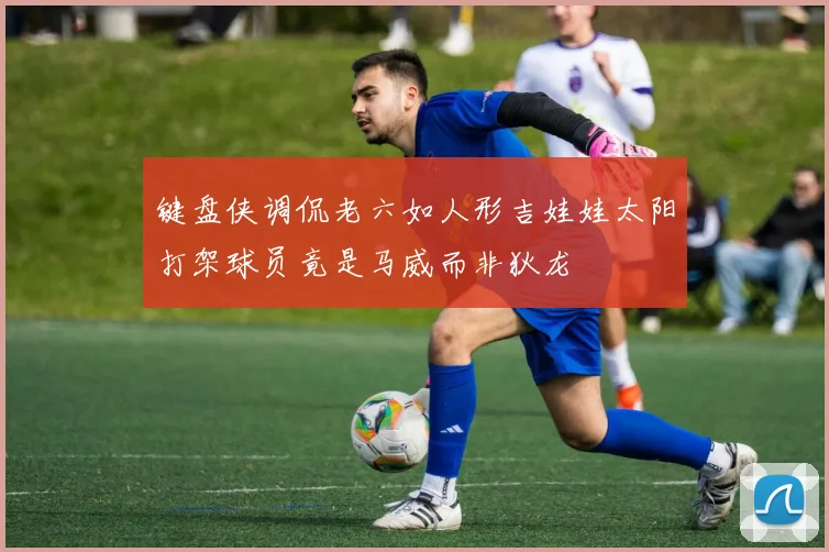 键盘侠调侃老六如人形吉娃娃太阳打架球员竟是马威而非狄龙