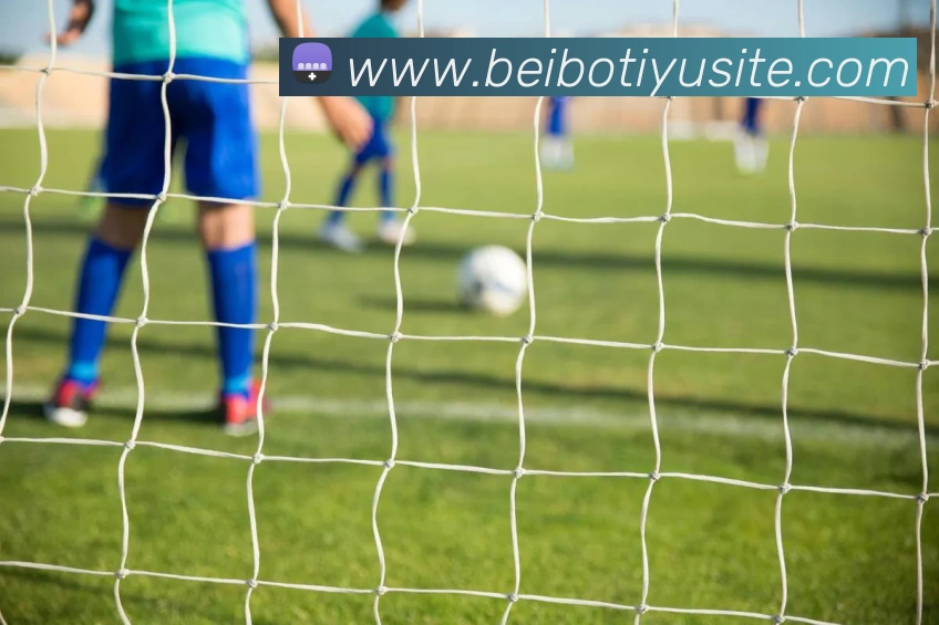 贝博体育平台生态图